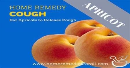 Apricots for cough