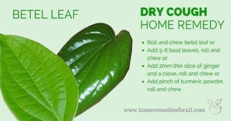 Betel Leaf for Dry Cough