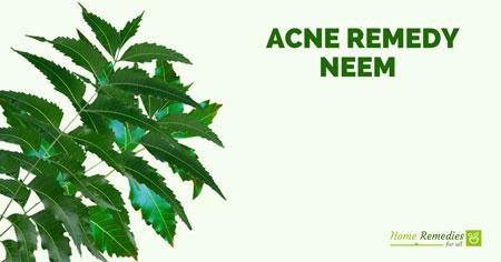 neem for acne treatment