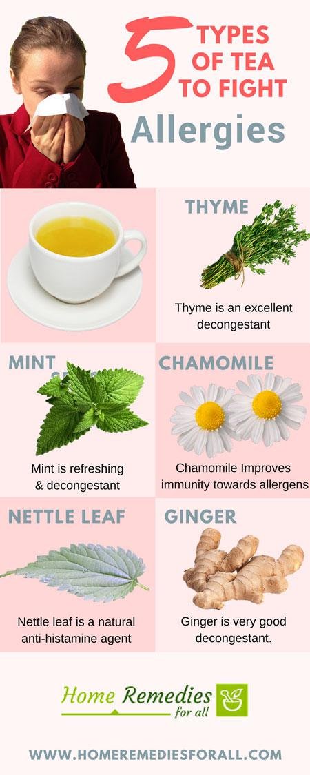 5 tea for allergies infographic
