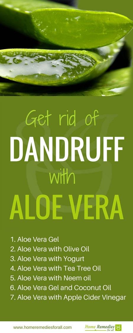 aloe vera for dandruff infographic