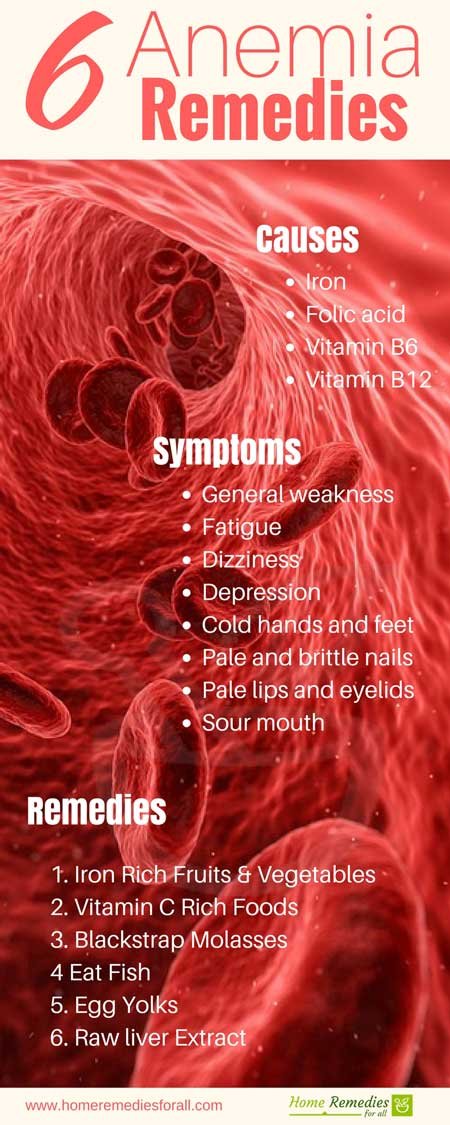 anemia remedies infographics