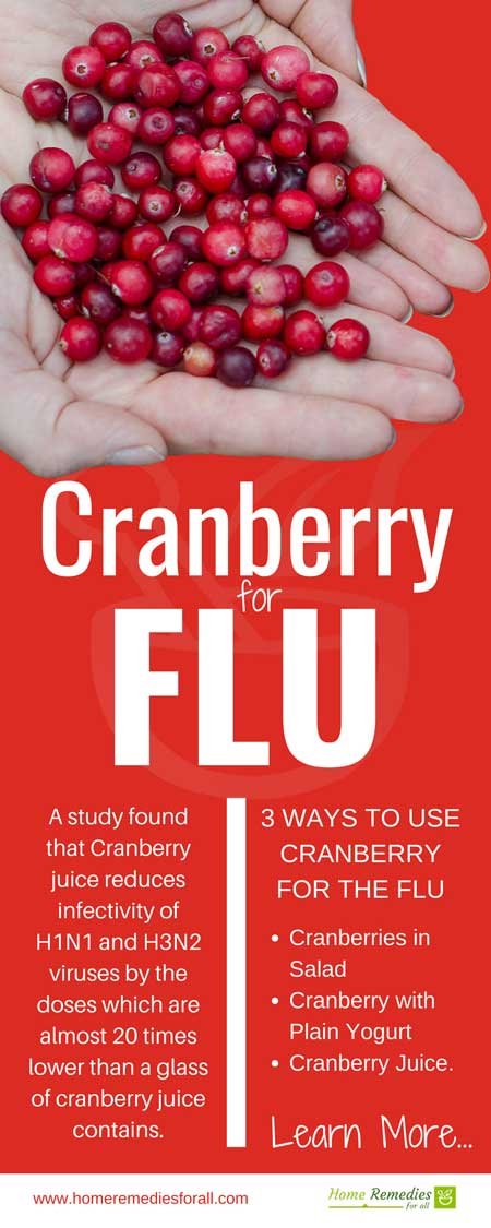 cranberry for the flu infographic