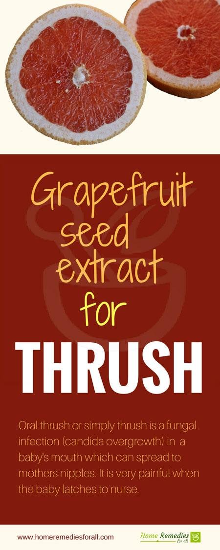 grapefruit seed extract for thrush infographic