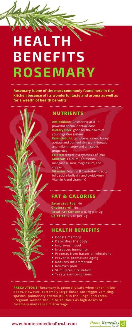 health benefits rosemary infographic
