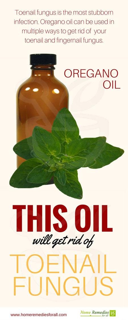 oregano oil for toenail fungus infographic