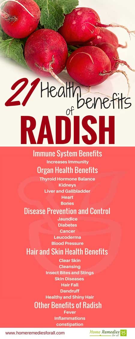 radish health benefits infographic