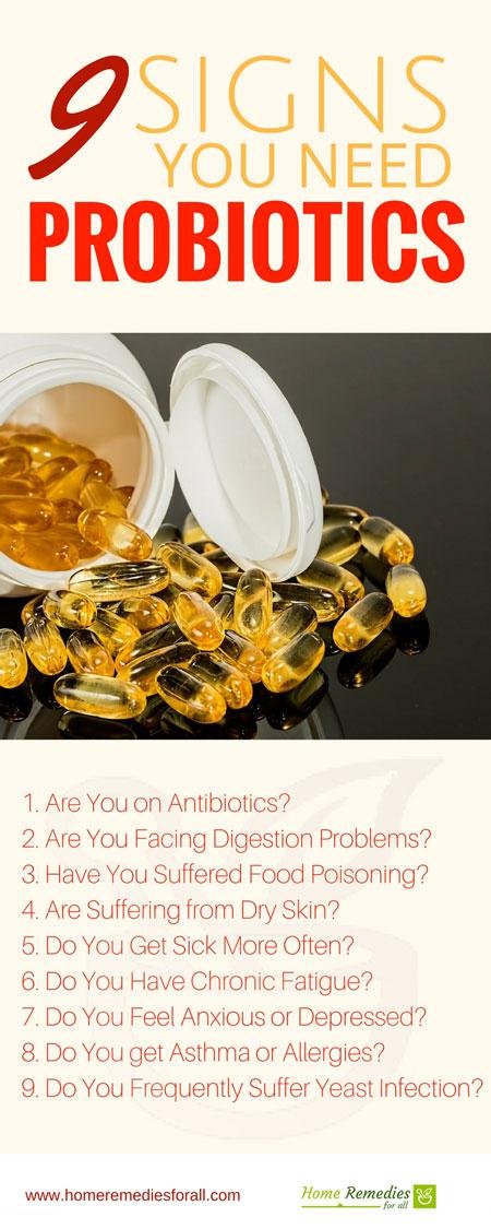 signs you need probiotics infographic