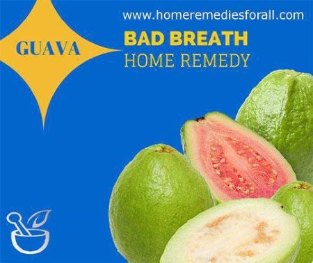 Bad Breath Home Remedies Guava