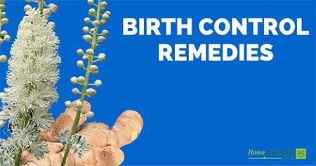 Black cohosh for birth control