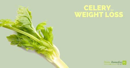 celery for weight loss