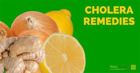 Foods for Cholera