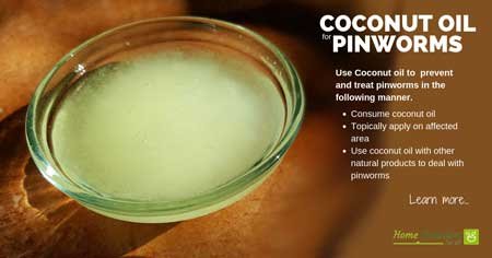 coconut oil for pinworms