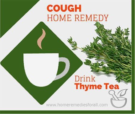 Picture of Home Remedies for Cough- Thyme tea