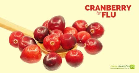 cranberry for flu