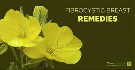 Essential Oils for Fibrocystic Breast Disease