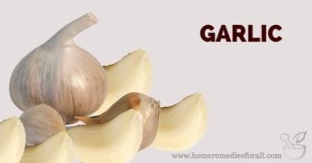 Garlic bulb cloves