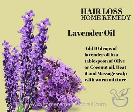 Picture of Home Remedies for Hair Loss Lavender Oil