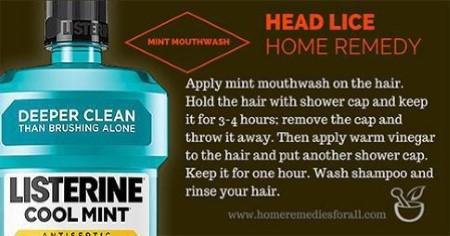 Mint Mouthwash