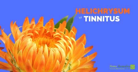 helichrysum essential oil for tinnitus