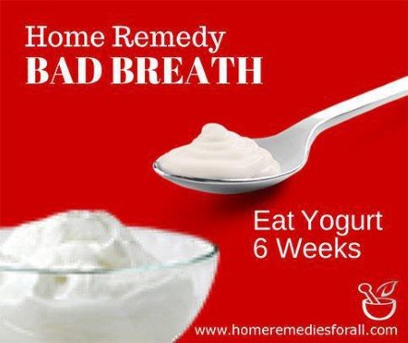 Home Remedies Bad Breath Yogurt