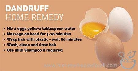 Picture of Home Remedies for Dandruff Eggs