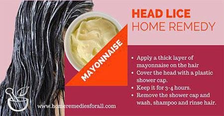 Picture of Home Remedies for head Lice