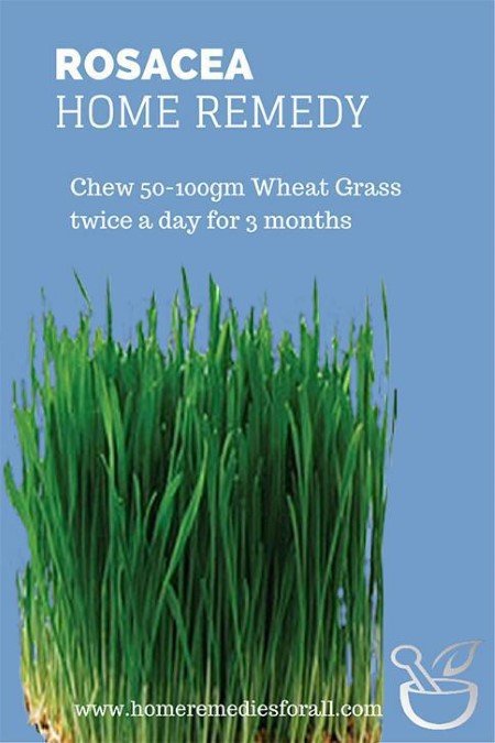Picture of Home Remedies for Rosacea Wheat grass