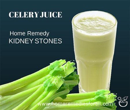Kidney Stone Home Remedies - Celery