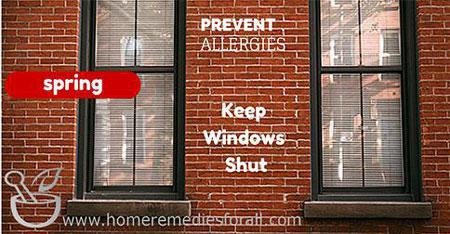 Keep Windows Shut to Prevent Seasonal Allergies