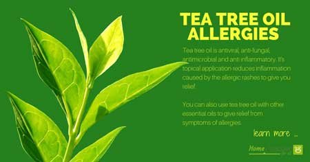 tea tree oil for allergies
